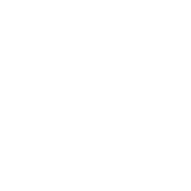 Light Guys Logo