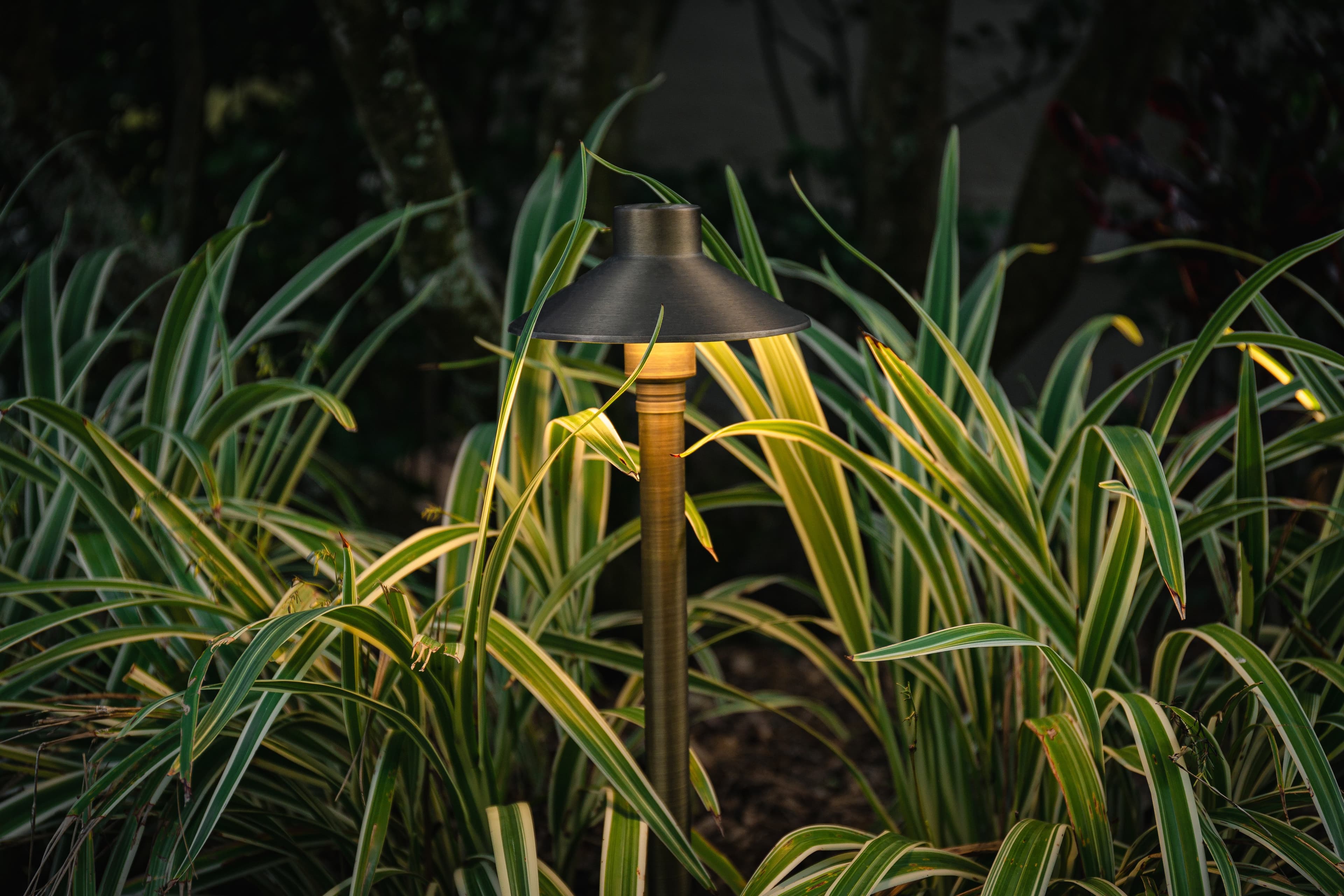 Close-up of path light fixture in ornamental grasses showing warm glow and quality craftsmanship in Auburn Alabama