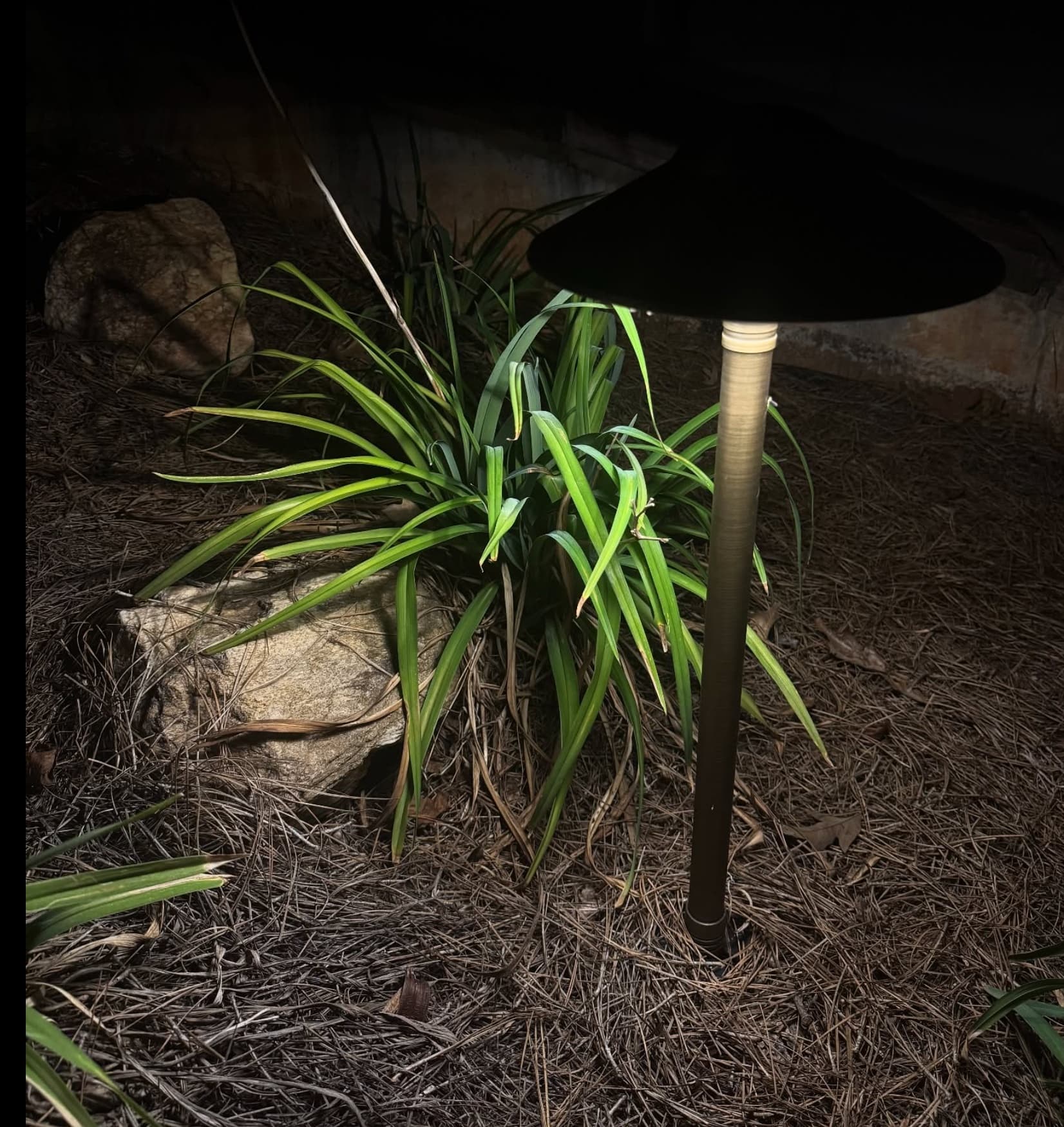 Modern path light fixture with landscape illumination