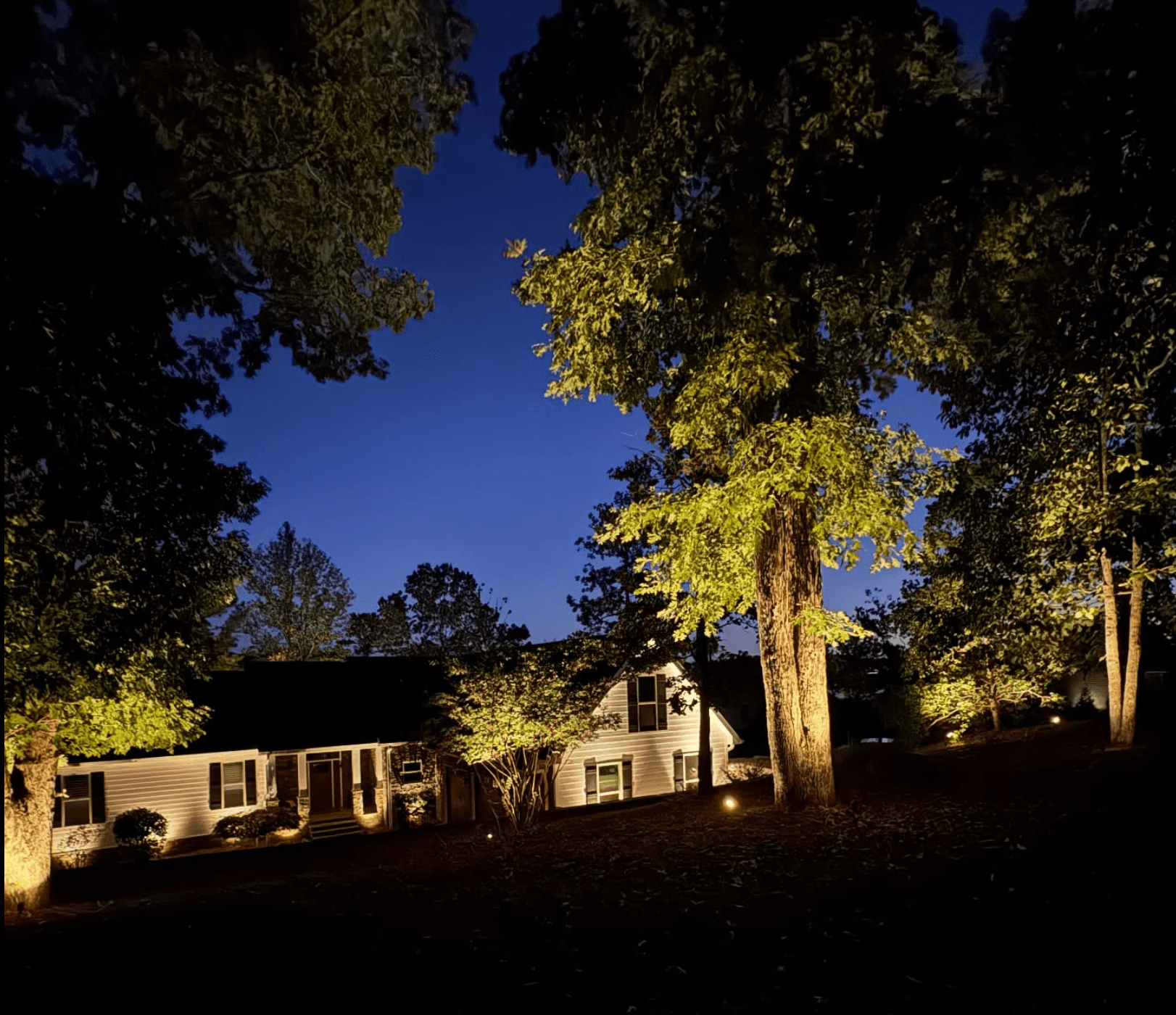 Ranch home with mature tree uplighting at twilight
