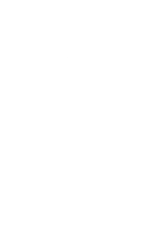 Light Guys Logo